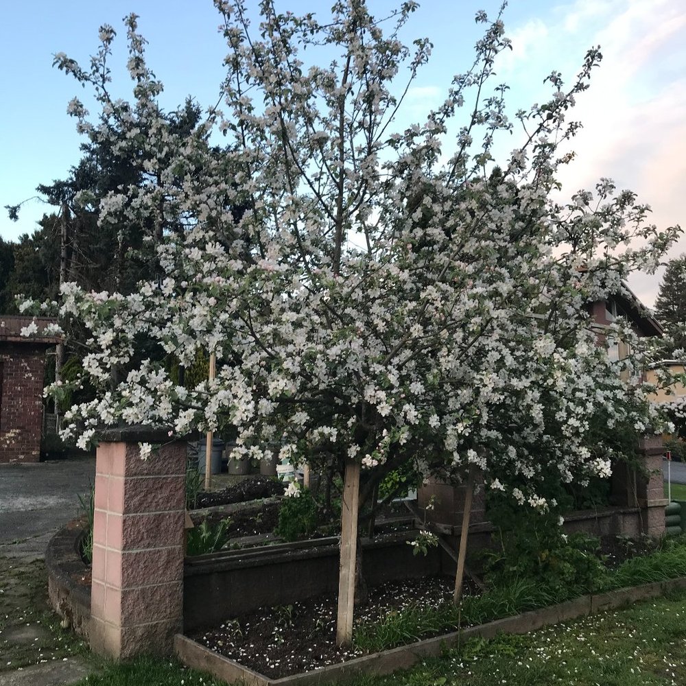 Meet your Posher, Sophia